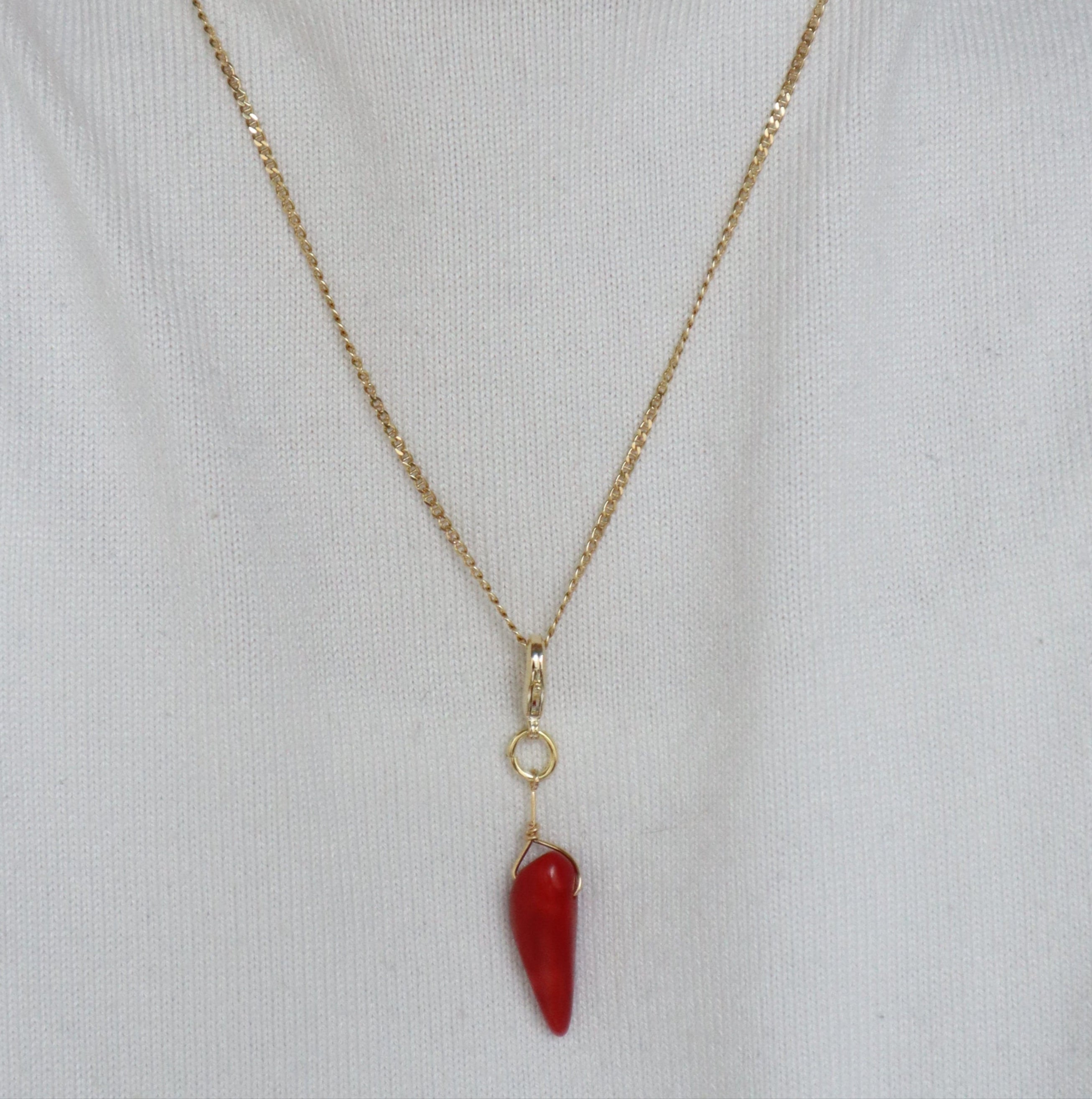 Cornuto coloré